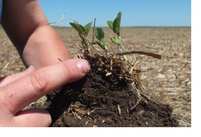 Spaced based data about the consistency of soil can help farmers make better decisions (Image: USDA-NRCS)