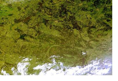 Belarus satellite image (Image: NASA)
