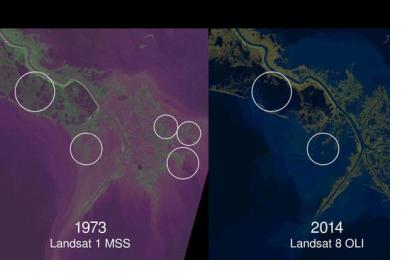 Parts of land lost to the sea along the last four decades (Image: Zachary Tessler/USGS and NASA)