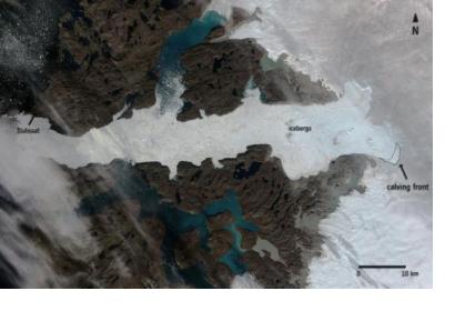 Satellite image of Jakobshavn glacier´s calving process (Image: ESA)