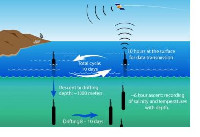 Argo 10-day ocean observation cycle (Image: Argo). 