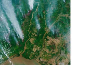 The Copernicus Sentinel-2 mission captured the fires over Borneo on 13 September 2019. Image: Copernicus