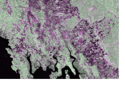 Webinar Avanzado: Mapeo y Monitoreo de los Bosques con Datos SAR logo. Image: NASA