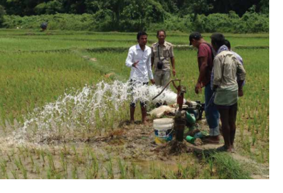 Sustainable use of groundwater during the dry season is crucial for paddy farming in Saptari, Nepal. Image: ICIMOD