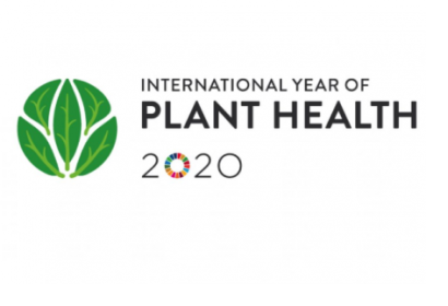 International Plant Health Conference "Protecting Plant Health in a changing world" logo. Image: FAO