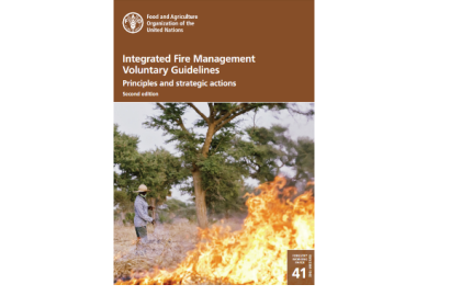 FAO Fire Management Publication