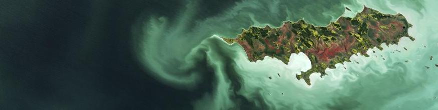 Algae bloom in Lake Winnipeg in the Canadian province of Manitoba, with Reindeer Island visible in the lower-right part of the image. Image: contains modified Copernicus Sentinel data (2017), processed by ESA, CC BY-SA 3.0 IGO. Algae bloom in Lake Winnipeg in the Canadian province of Manitoba, with Reindeer Island visible in the lower-right part of the image. Image: contains modified Copernicus Sentinel data (2017), processed by ESA, CC BY-SA 3.0 IGO.