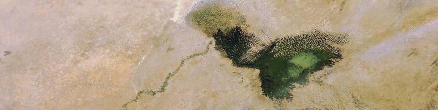 Lake Chad has shrunk dramatically over the last four decades due to a decrease in rainfall and an increase in the amount of water used for irrigation projects. Its surface area was 25 000 sq km in the early 1960s, compared with 1350 sq km in 2001. Image acquired 19 December 2007 by the MERIS (Medium Resolution Imaging Spectrometer) instrument aboard ESA’s Envisat satellite. Image: ESA, CC BY-SA 3.0 IGO. Lake Chad has shrunk dramatically over the last four decades due to a decrease in rainfall and an increase in the amount of water used for irrigation projects. Its surface area was 25 000 sq km in the early 1960s, compared with 1350 sq km in 2001. Image acquired 19 December 2007 by the MERIS (Medium Resolution Imaging Spectrometer) instrument aboard ESA’s Envisat satellite. Image: ESA, CC BY-SA 3.0 IGO.